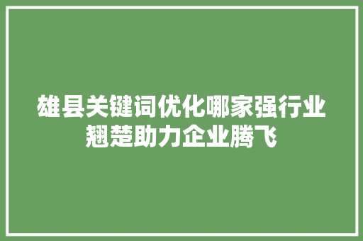 雄县关键词优化哪家强行业翘楚助力企业腾飞