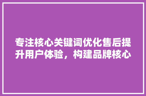 专注核心关键词优化售后提升用户体验，构建品牌核心竞争力