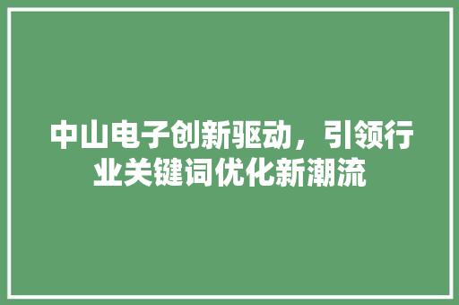 中山电子创新驱动，引领行业关键词优化新潮流 网站优化