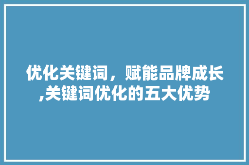优化关键词，赋能品牌成长,关键词优化的五大优势