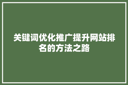 关键词优化推广提升网站排名的方法之路