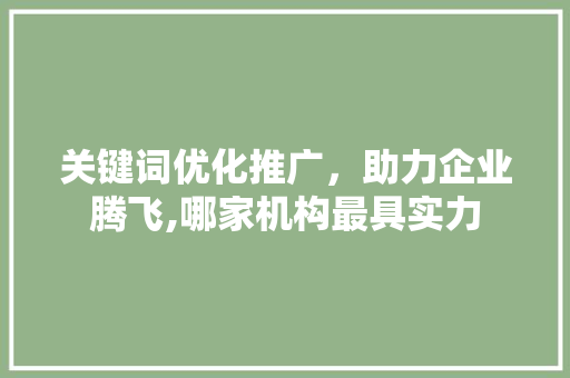 关键词优化推广，助力企业腾飞,哪家机构最具实力