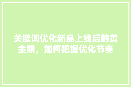 关键词优化新品上线后的黄金期，如何把握优化节奏