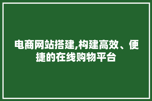 电商网站搭建,构建高效、便捷的在线购物平台 电商网站搭建,构建高效、便捷的在线购物平台 网站开发