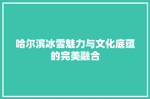 哈尔滨冰雪魅力与文化底蕴的完美融合 网站开发