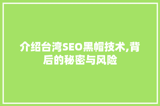 介绍台湾SEO黑帽技术,背后的秘密与风险