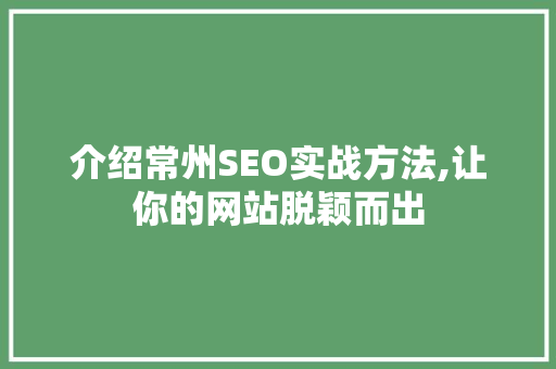 介绍常州SEO实战方法,让你的网站脱颖而出 小程序开发