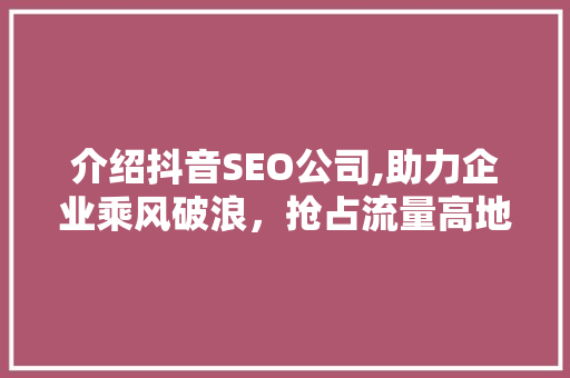 介绍抖音SEO公司,助力企业乘风破浪，抢占流量高地 seo技术