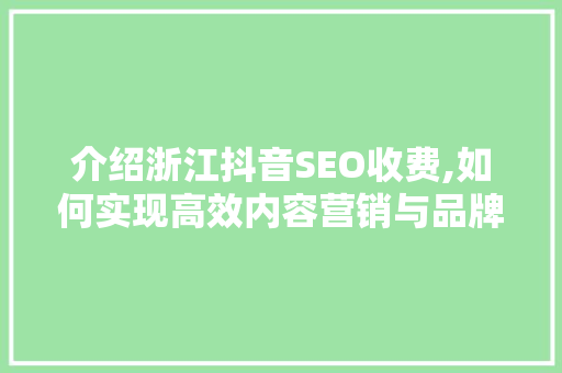 介绍浙江抖音SEO收费,如何实现高效内容营销与品牌曝光