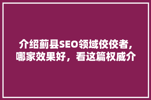 介绍蓟县SEO领域佼佼者,哪家效果好，看这篇权威介绍！