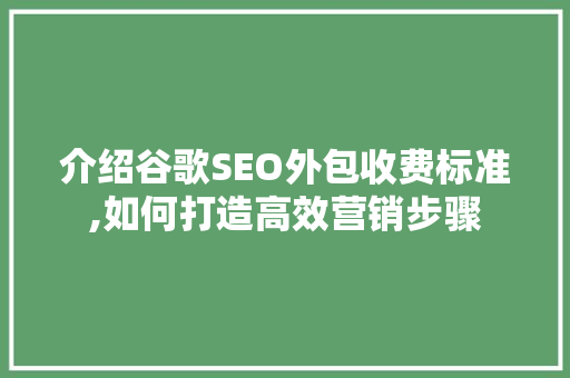介绍谷歌SEO外包收费标准,如何打造高效营销步骤 网站开发