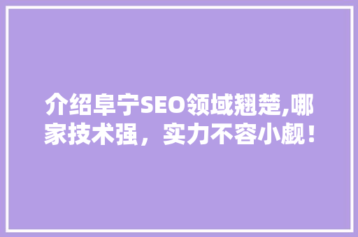 介绍阜宁SEO领域翘楚,哪家技术强，实力不容小觑！