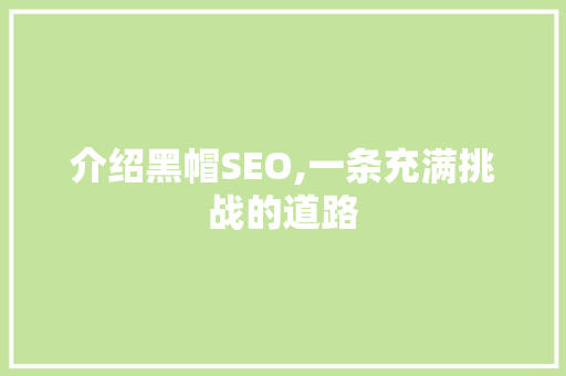 介绍黑帽SEO,一条充满挑战的道路