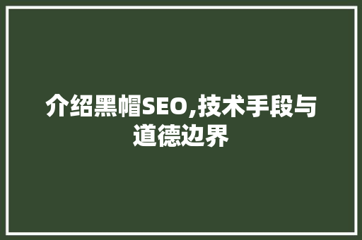 介绍黑帽SEO,技术手段与道德边界 搜狗优化