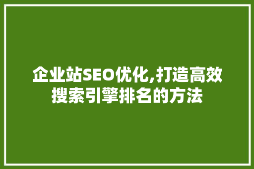 企业站SEO优化,打造高效搜索引擎排名的方法