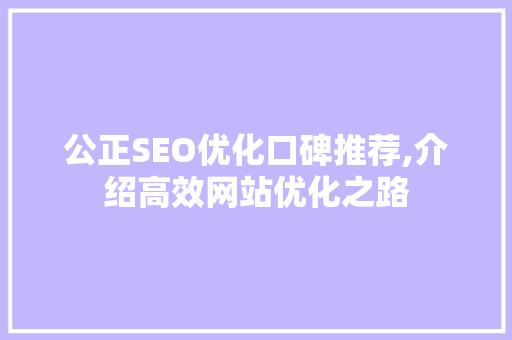 公正SEO优化口碑推荐,介绍高效网站优化之路
