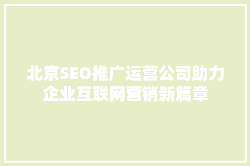 北京SEO推广运营公司助力企业互联网营销新篇章