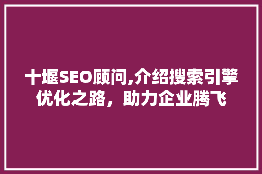 十堰SEO顾问,介绍搜索引擎优化之路，助力企业腾飞 小程序开发