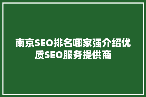 南京SEO排名哪家强介绍优质SEO服务提供商 网站开发