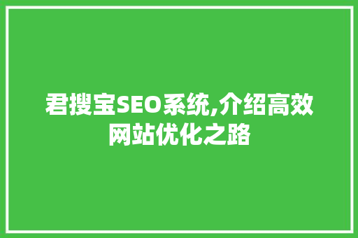 君搜宝SEO系统,介绍高效网站优化之路
