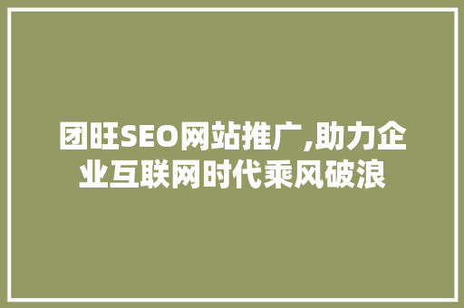 团旺SEO网站推广,助力企业互联网时代乘风破浪