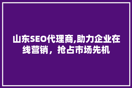 山东SEO代理商,助力企业在线营销，抢占市场先机