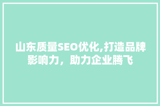 山东质量SEO优化,打造品牌影响力，助力企业腾飞