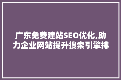 广东免费建站SEO优化,助力企业网站提升搜索引擎排名 英文谷歌算法