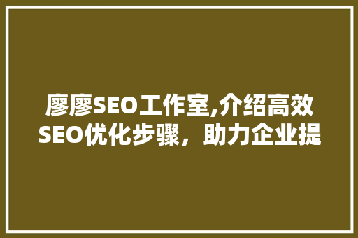 廖廖SEO工作室,介绍高效SEO优化步骤，助力企业提升网络竞争力