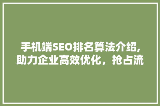手机端SEO排名算法介绍,助力企业高效优化，抢占流量红利 英文谷歌算法
