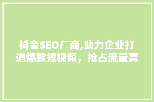 抖音SEO厂商,助力企业打造爆款短视频，抢占流量高地 英文谷歌算法
