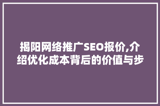 揭阳网络推广SEO报价,介绍优化成本背后的价值与步骤