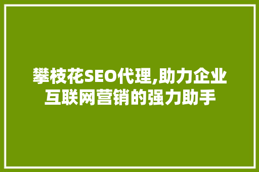 攀枝花SEO代理,助力企业互联网营销的强力助手