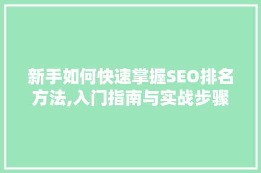 新手如何快速掌握SEO排名方法,入门指南与实战步骤 AI技术学习