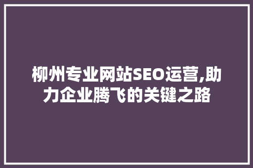 柳州专业网站SEO运营,助力企业腾飞的关键之路
