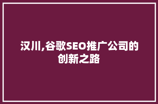 汉川,谷歌SEO推广公司的创新之路