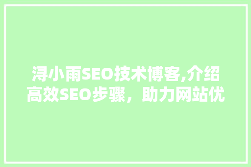 浔小雨SEO技术博客,介绍高效SEO步骤，助力网站优化与排名提升