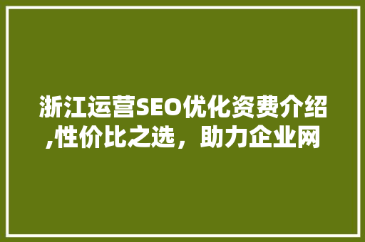 浙江运营SEO优化资费介绍,性价比之选，助力企业网站提升排名