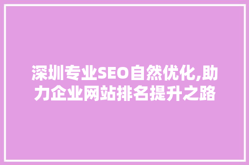 深圳专业SEO自然优化,助力企业网站排名提升之路