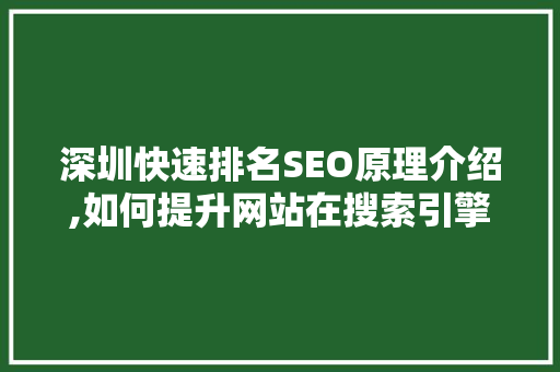深圳快速排名SEO原理介绍,如何提升网站在搜索引擎中的排名