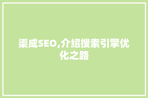 渠成SEO,介绍搜索引擎优化之路 360搜优化