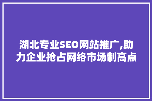 湖北专业SEO网站推广,助力企业抢占网络市场制高点