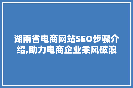 湖南省电商网站SEO步骤介绍,助力电商企业乘风破浪