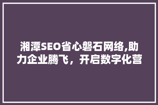 湘潭SEO省心磐石网络,助力企业腾飞，开启数字化营销新篇章 头条优化