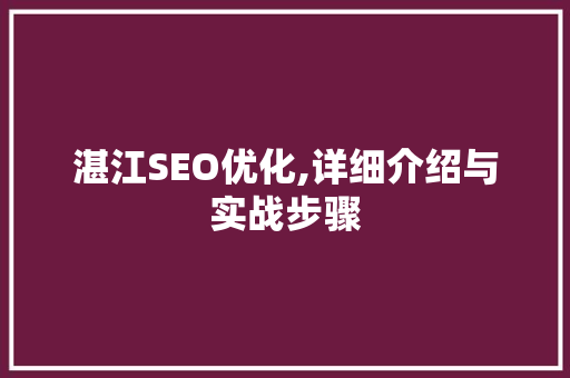 湛江SEO优化,详细介绍与实战步骤