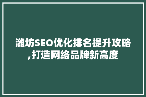 潍坊SEO优化排名提升攻略,打造网络品牌新高度