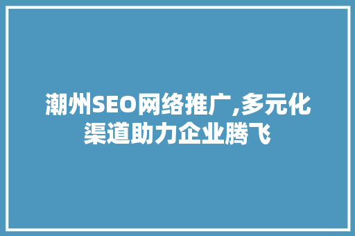 潮州SEO网络推广,多元化渠道助力企业腾飞