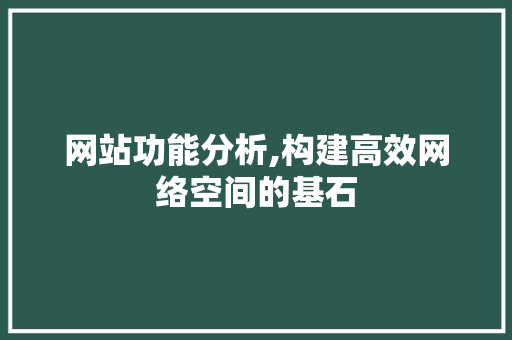 网站功能分析,构建高效网络空间的基石 网站功能分析,构建高效网络空间的基石 搜狗优化