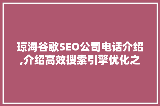 琼海谷歌SEO公司电话介绍,介绍高效搜索引擎优化之路
