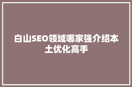 白山SEO领域哪家强介绍本土优化高手